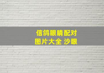 信鸽眼睛配对图片大全 沙眼